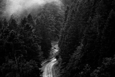 High angle view of road amidst trees in forest