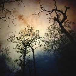 Low angle view of bare trees against cloudy sky