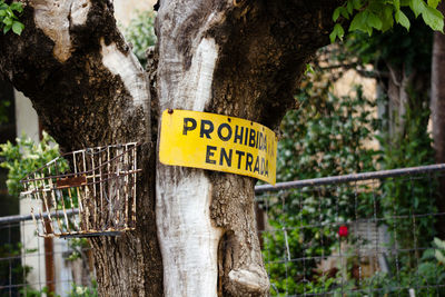 Close-up of information sign on tree trunk