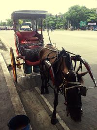 Horse cart against trees