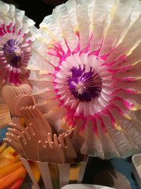 Close-up of pink daisy flower