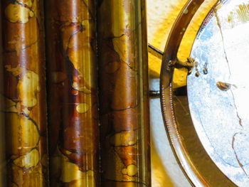 High angle view of bamboo in glass building