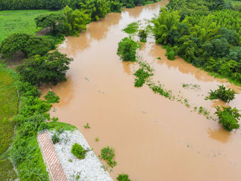 High angle view of trees by river