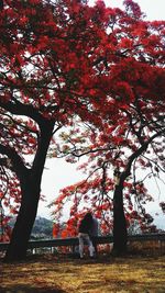 People standing by tree in park during autumn