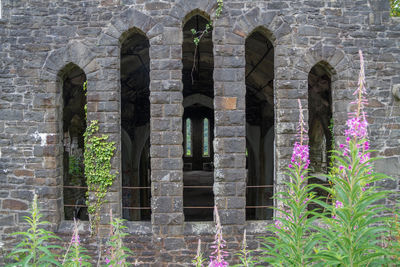 Ruins of old building