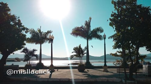 Palm trees by sea against sky