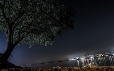 Scenic view of illuminated tree against sky at night