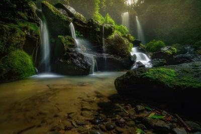 Scenic view of waterfall