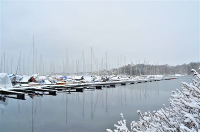 Sailboats moored in harbor