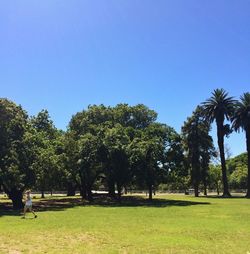 Scenic view of grassy field against clear sky