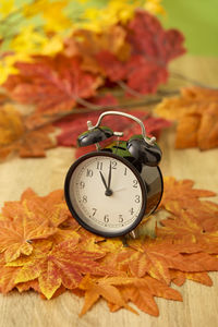 Close-up of alarm clock with autumn leaves on table against wall