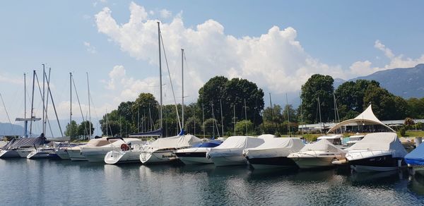 Boats moored at harbor against sky