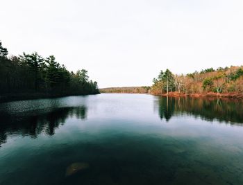 Reflection of trees in calm lake