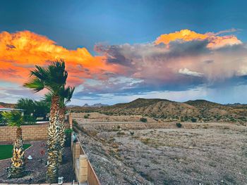 Scenic view of field against sky during sunset