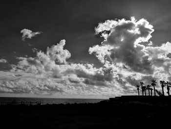 Birds on beach against sky