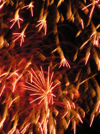 Low angle view of firework display at night