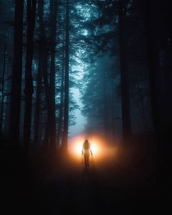 Rear view of woman running amidst trees in forest