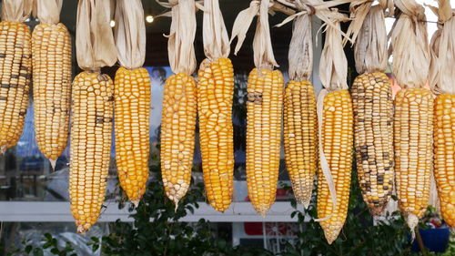 Close-up of corn for sale at market stall