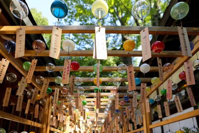 Close-up of clothes hanging on shelf