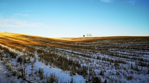 Scenic view of field against sky during winter