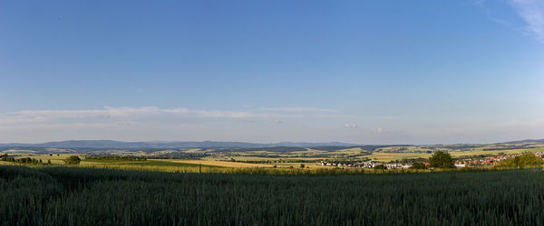 Scenic view of agricultural field against sky