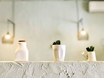 Close-up of white potted plant on table