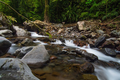 Scenic view of waterfall