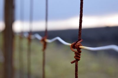 Close-up of rusty metal fence on field