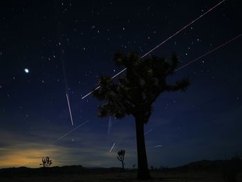 Low angle view of silhouette trees against sky at night