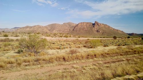 Scenic view of landscape against sky