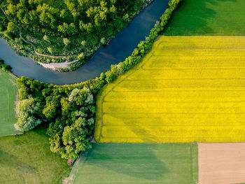 High angle view of agricultural field