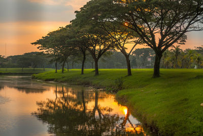 Trees by lake against sky during sunset