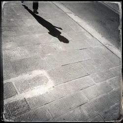 Shadow of tree on the wall