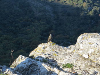 View of rock formation against mountain