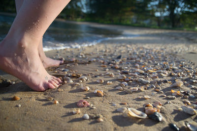 Low section of woman on beach