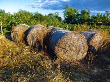 Hay bales on field against sky