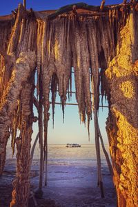 Salt concretions in the salt plains of asale lake in the danakil depression.