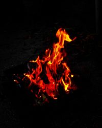 Close-up of bonfire on field at night