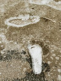 High angle view of footprints in water