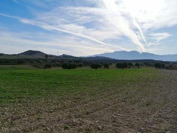 Scenic view of field against sky