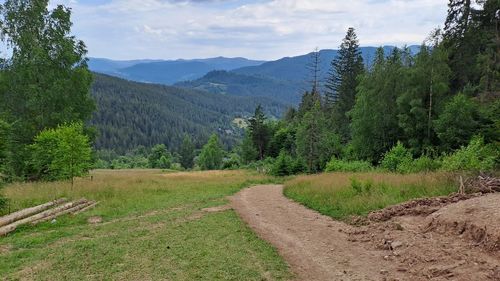 Scenic view of landscape against sky