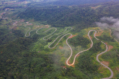 High angle view of road amidst trees in forest