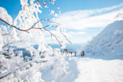 Snow covered mountain against sky