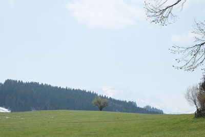 Scenic view of field against sky