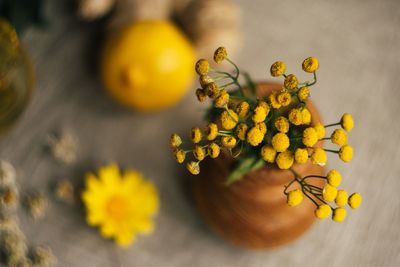 Close-up of yellow flowers in vase