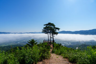 nature