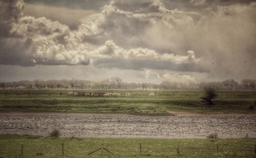 Scenic view of field against cloudy sky