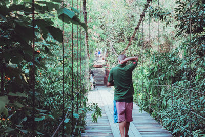 Rear view of woman standing on footbridge in forest