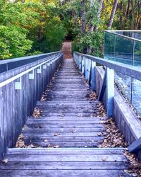 Steps amidst trees