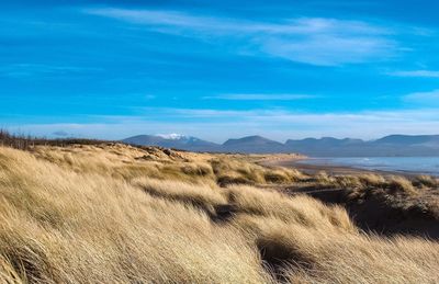 Scenic view of landscape against blue sky